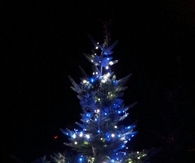 Blue and green christmas tree