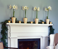White motives on mantel