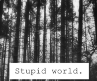 Stupid world