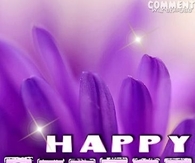 happy sunday
