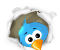 twitter bird