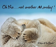 not another monday