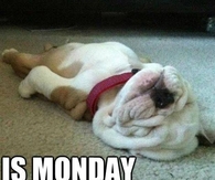 Is Monday over yet