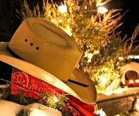 Cowboy hat and country lights