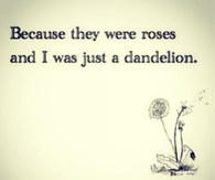 Dandelion
