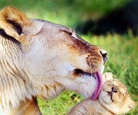 Aww, Mom I'm Clean!!