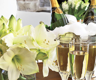 Elegant champagne flutes
