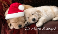 20 days until christmas