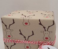 Red nosed rudolph