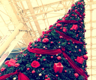 Huge christmas tree
