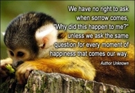 Sorrows and happiness