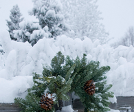 Pinecone wreath