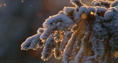 Blowing snow flurries