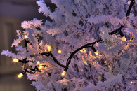 Wintery snow lights