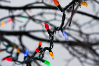 Colorful LED lights