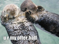 U r my otter half
