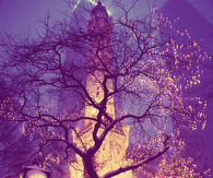 Christmas in the City