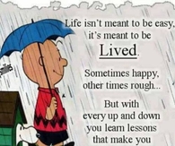 life isnt meant to be easy