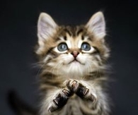 "I Promise, I'm Sorry!!
