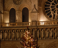 Christmas Tree in Paris