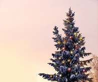 Colors on the Christmas tree