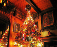 Christmas Tree Colors