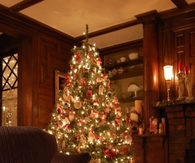 Tree and Candles