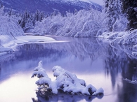 Icy Winter