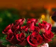 Candy Cane Rose Boquet