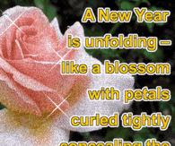 A new year is unfolding