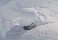 Snowed In 2 The Max!!!