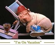 I'm on Vacation