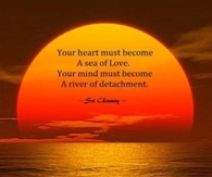 A sea of love