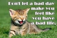 A bad life