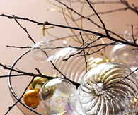 Branches and ornaments decoration