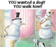 walk the dog