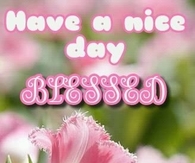 Have a blessed Saturday