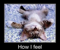 Saturday morning