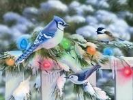 Birds at Christmas 