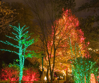Christmas LED Lights