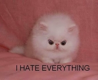 I hate everything!