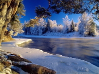 Winter scenery