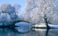 Winter park