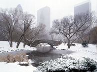 Winter in central park