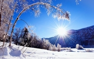 Winters sunshine