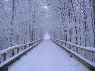 Snowy winter path