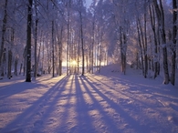 Winter at sunset