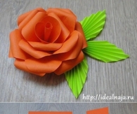 DIY Flowers