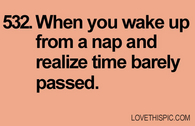 532-nap