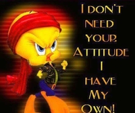 I dont need your attitude